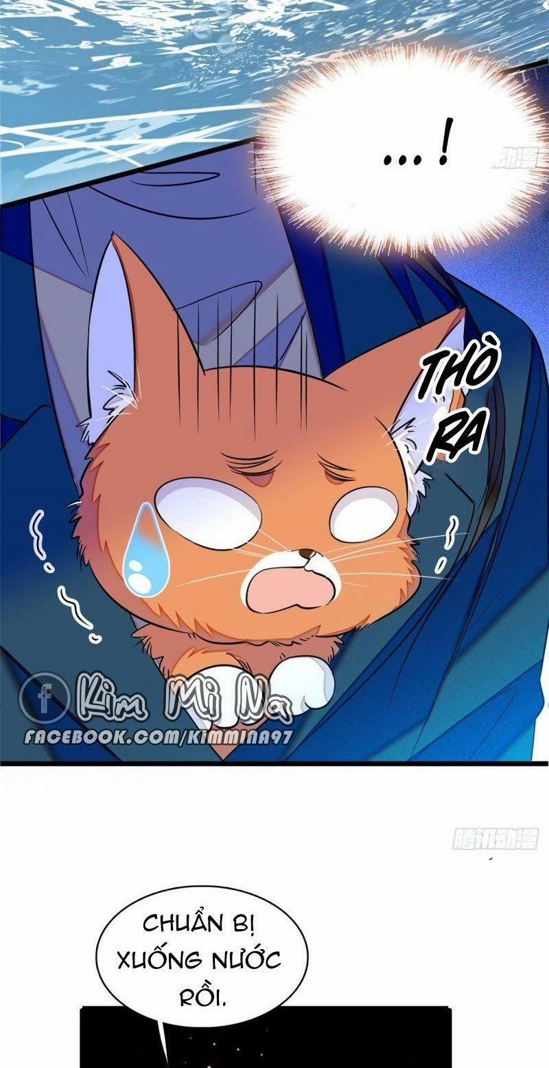 Toàn Mạng Đều Là Fan Cp Của Tôi Với Ảnh Đế 51 trang 18