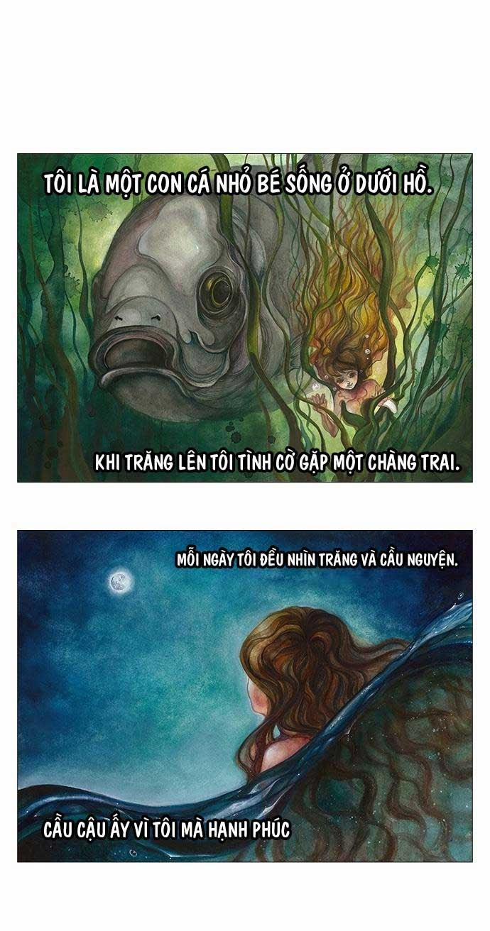 Tôi Chính Là Nhà Sưu Tập Chim 20 trang 0
