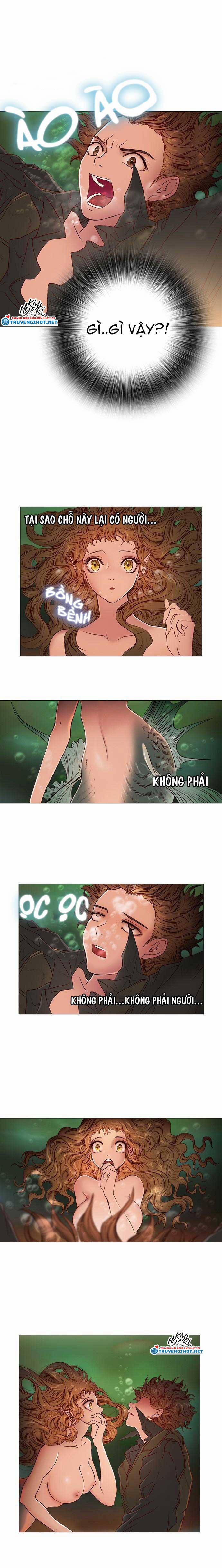 Tôi Chính Là Nhà Sưu Tập Chim 21.1 trang 0