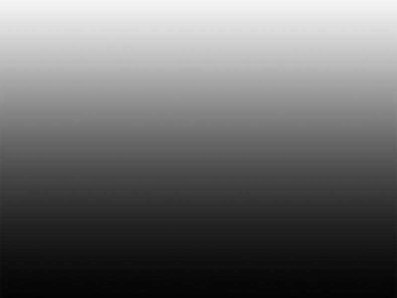 Tôi Có Đặc Tính Của Cấp Sss Nhưng Thích Sống Bình Thường 2 trang 234