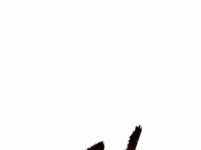 Tôi Có Đặc Tính Của Cấp Sss Nhưng Thích Sống Bình Thường 26 trang 216