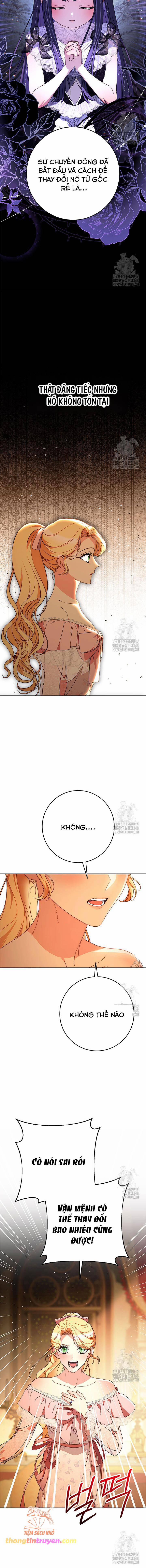 Tôi Đã Nuôi Dạy Em Gái Mình Một Cách Hoàn Hảo 65 trang 19