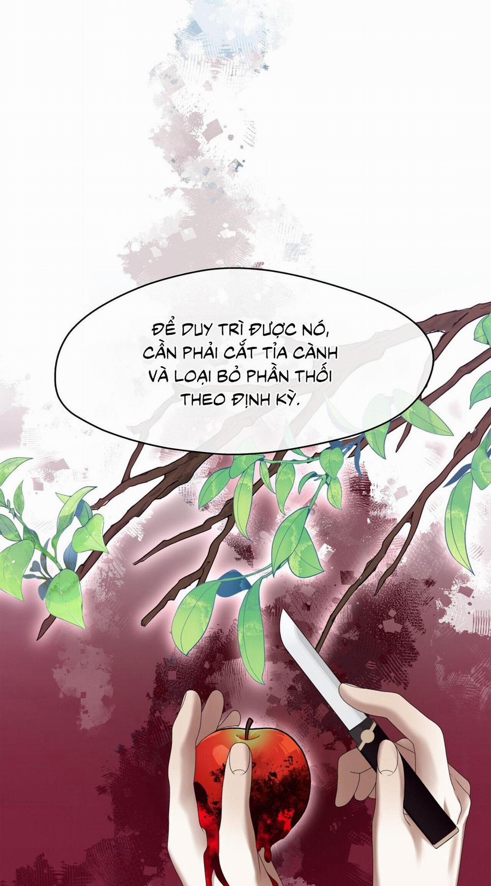 Tôi Đã Nuôi Dạy Thủ Lĩnh Giáo Phái Ác Ma 43 trang 16