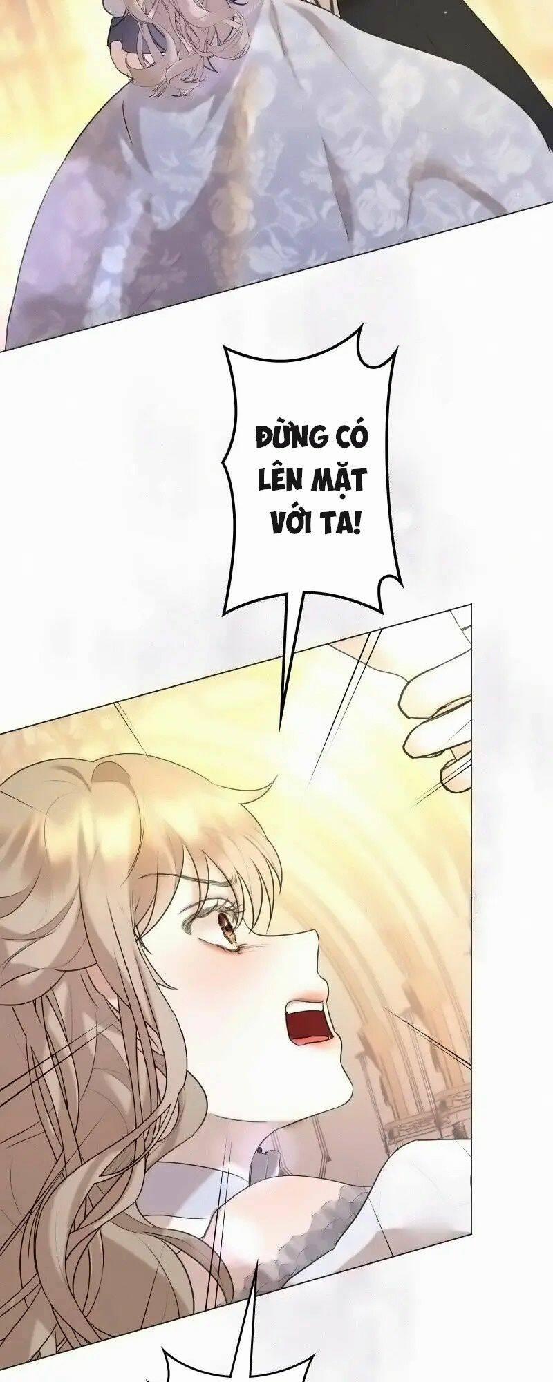 Tôi Đã Phá Vỡ Cuộc Hôn Nhân Chính Trị 13 trang 12