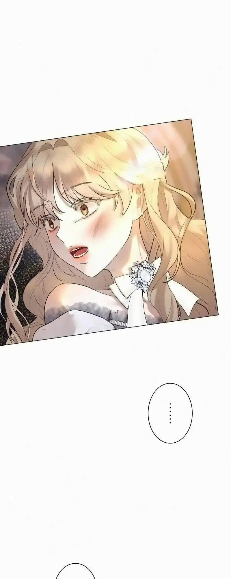 Tôi Đã Phá Vỡ Cuộc Hôn Nhân Chính Trị 13 trang 35