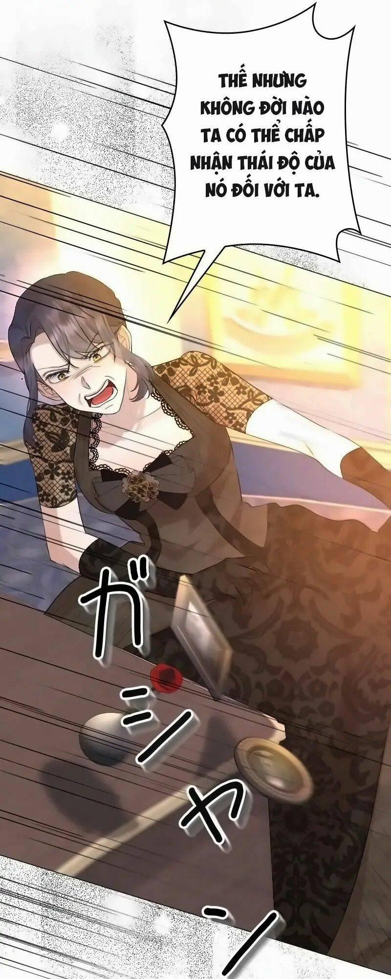 Tôi Đã Phá Vỡ Cuộc Hôn Nhân Chính Trị 14 trang 29