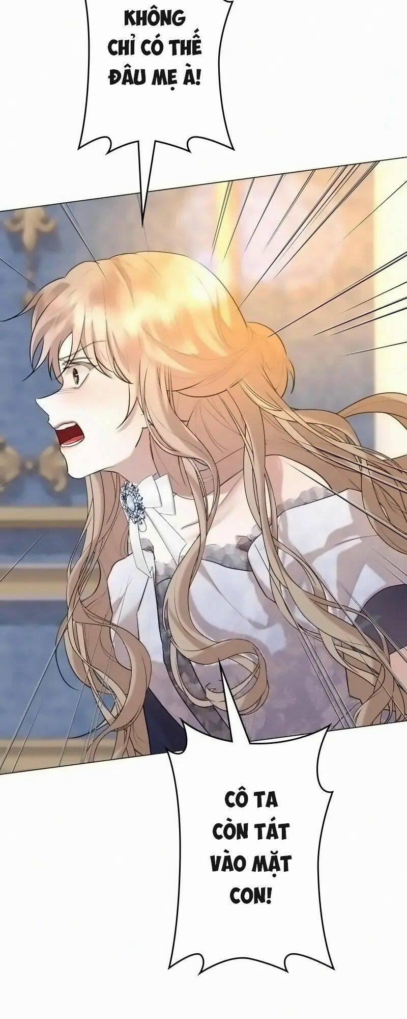 Tôi Đã Phá Vỡ Cuộc Hôn Nhân Chính Trị 14 trang 31