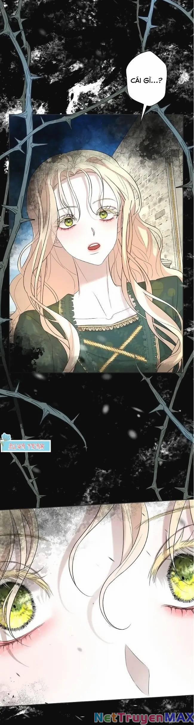 Tôi Đã Phá Vỡ Cuộc Hôn Nhân Chính Trị 9 trang 85