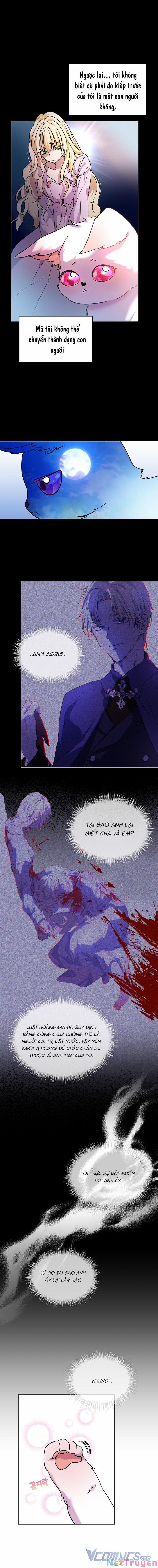Tôi Đã Tái Sinh Thành Bé Cáo Của Thần 1 trang 3