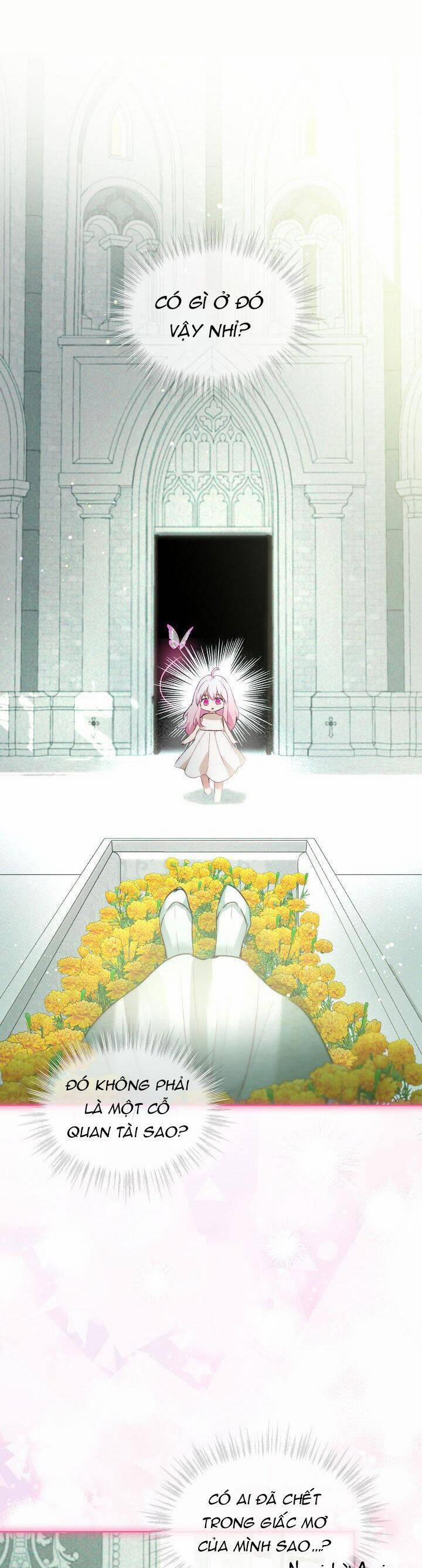 Tôi Đã Tái Sinh Thành Bé Cáo Của Thần 40 trang 6