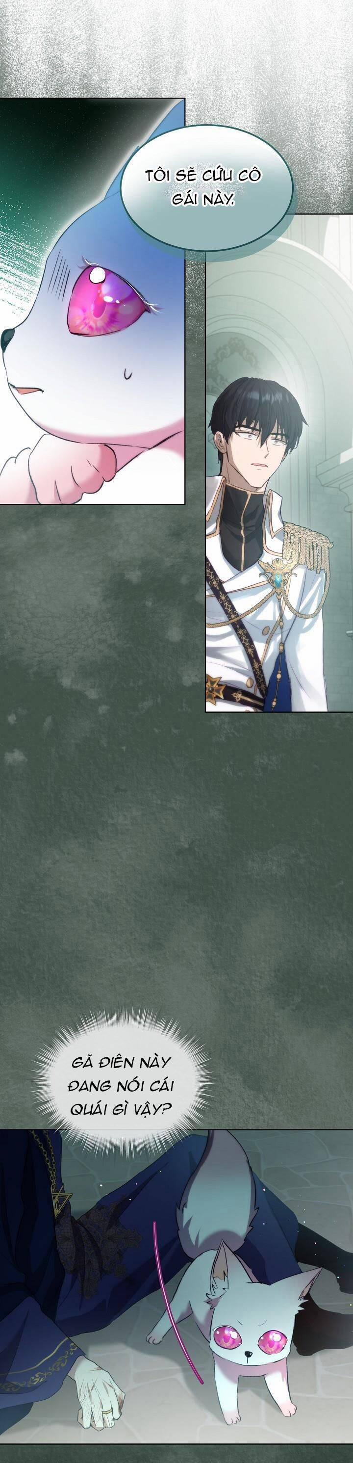Tôi Đã Tái Sinh Thành Bé Cáo Của Thần 42 trang 31
