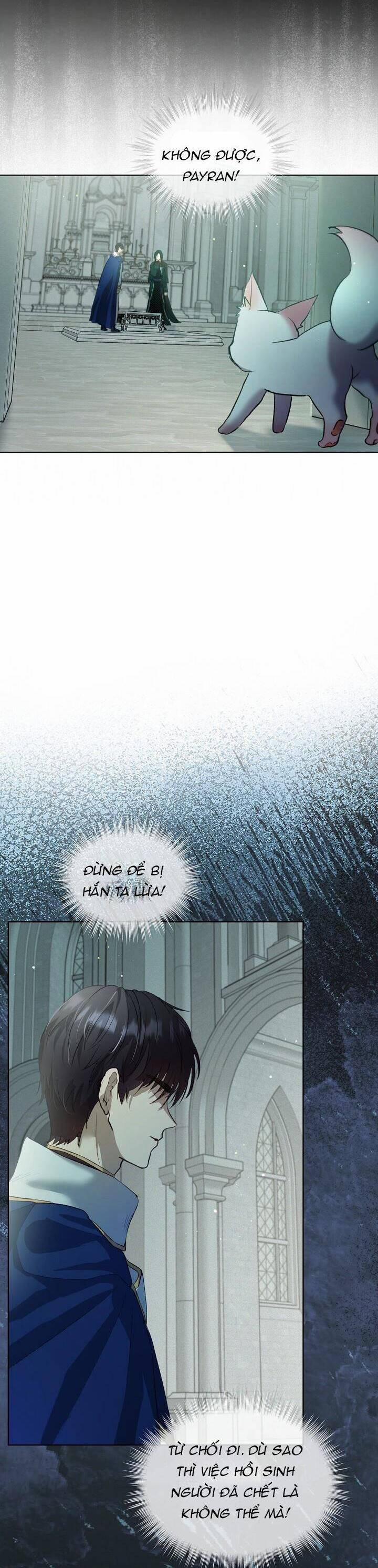 Tôi Đã Tái Sinh Thành Bé Cáo Của Thần 42 trang 33