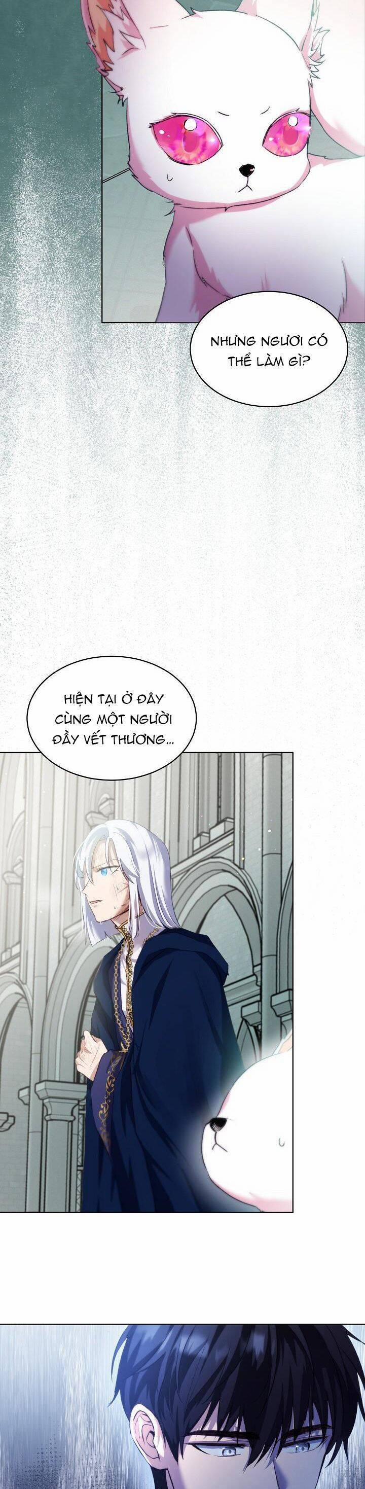 Tôi Đã Tái Sinh Thành Bé Cáo Của Thần 43 trang 12