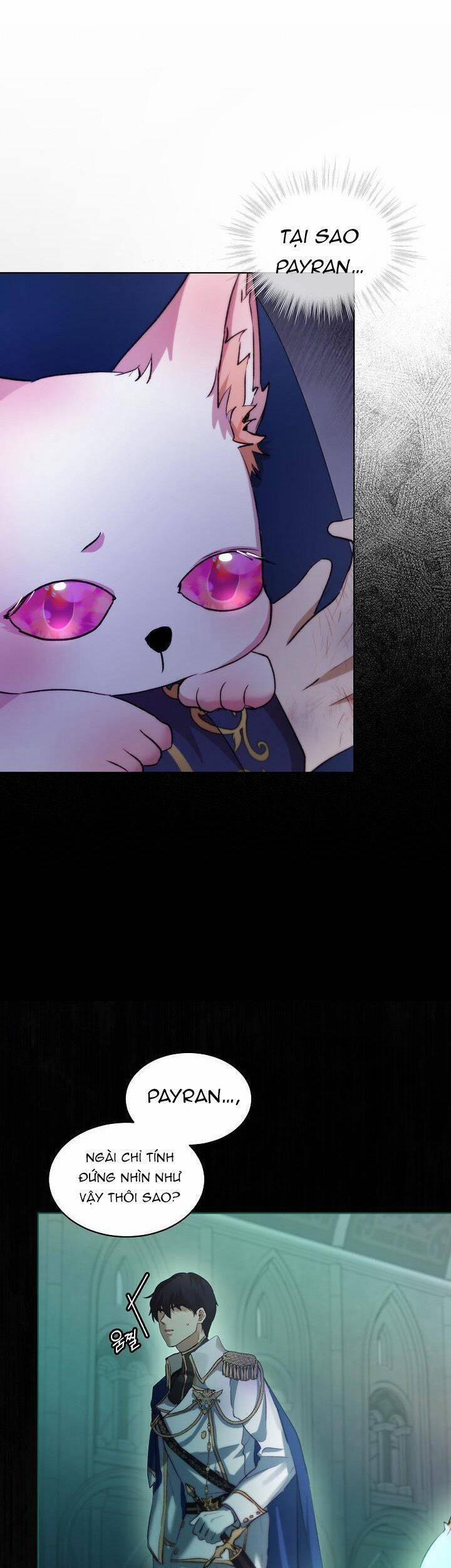 Tôi Đã Tái Sinh Thành Bé Cáo Của Thần 44 trang 22