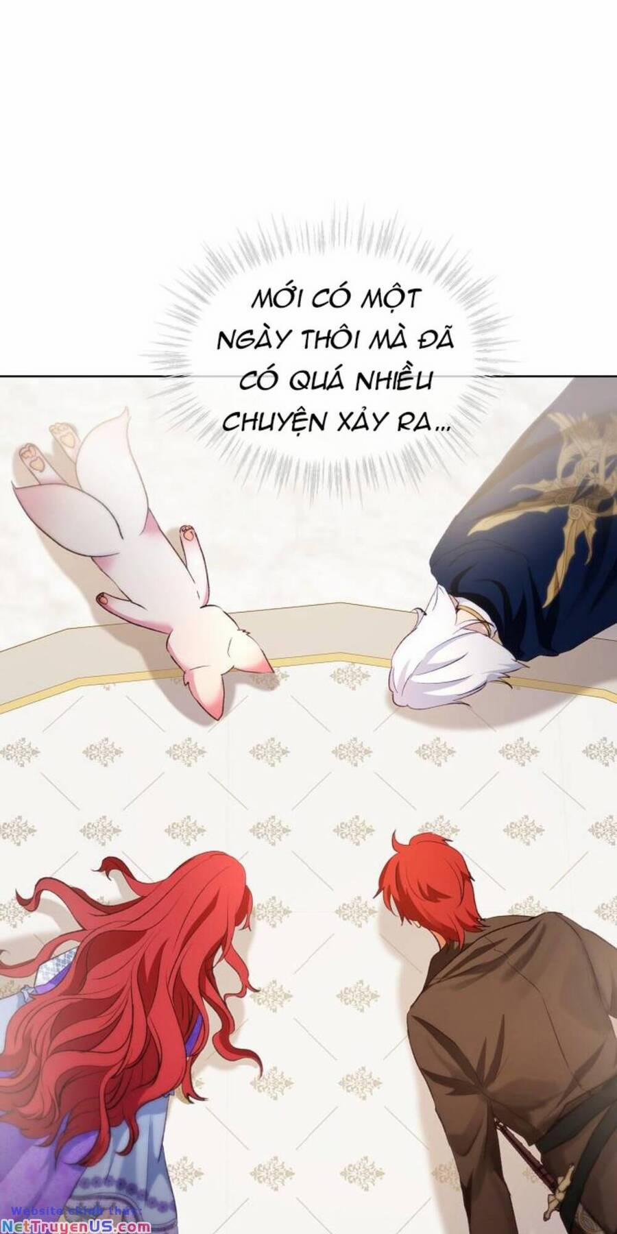 Tôi Đã Tái Sinh Thành Bé Cáo Của Thần 45 trang 5