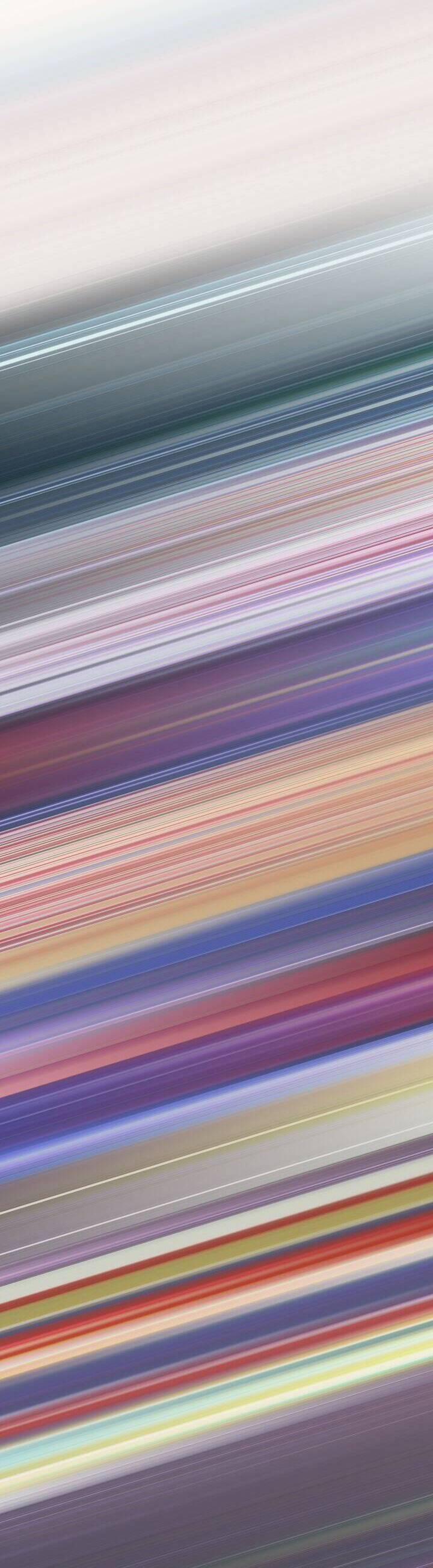 Tôi Đã Tái Sinh Thành Bé Cáo Của Thần 47 trang 12