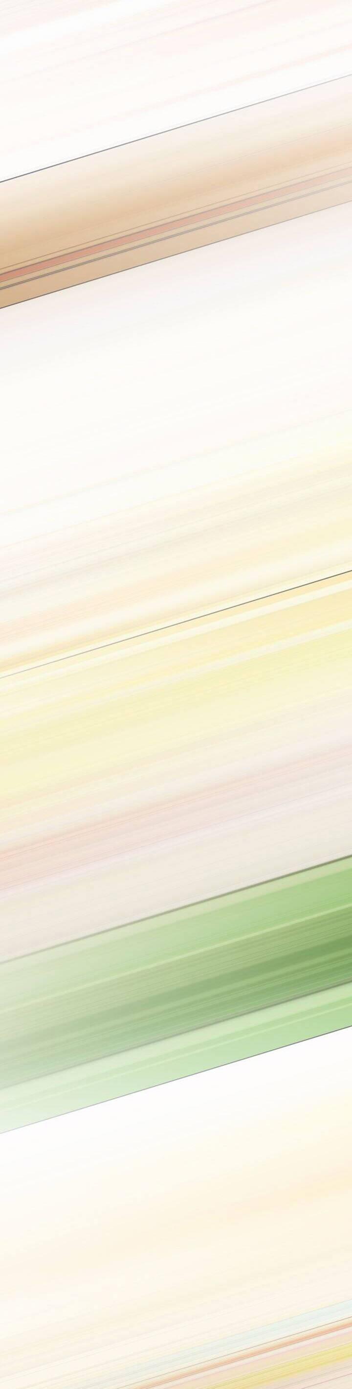 Tôi Đã Tái Sinh Thành Bé Cáo Của Thần 47 trang 15