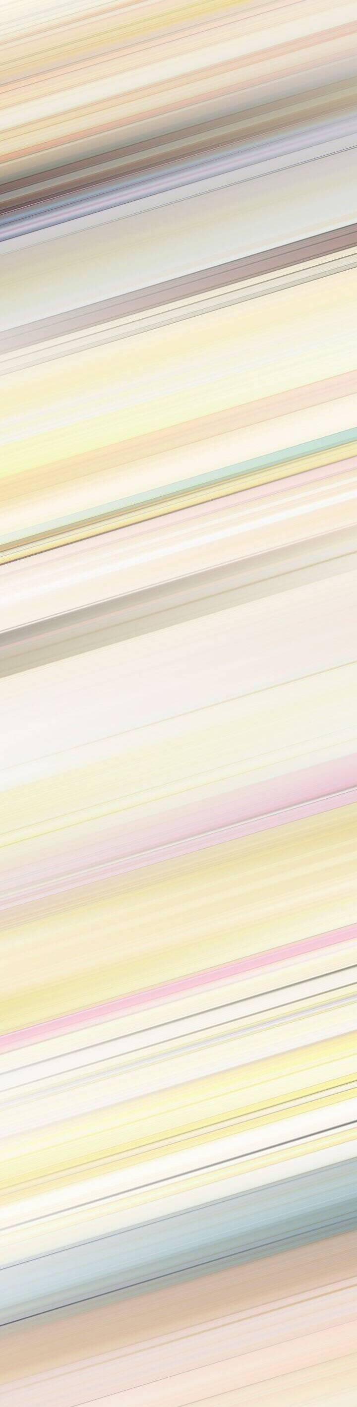 Tôi Đã Tái Sinh Thành Bé Cáo Của Thần 47 trang 16