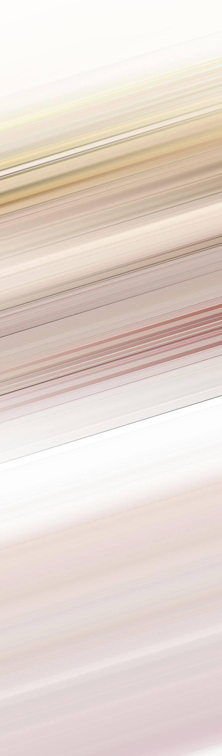 Tôi Đã Tái Sinh Thành Bé Cáo Của Thần 47 trang 26