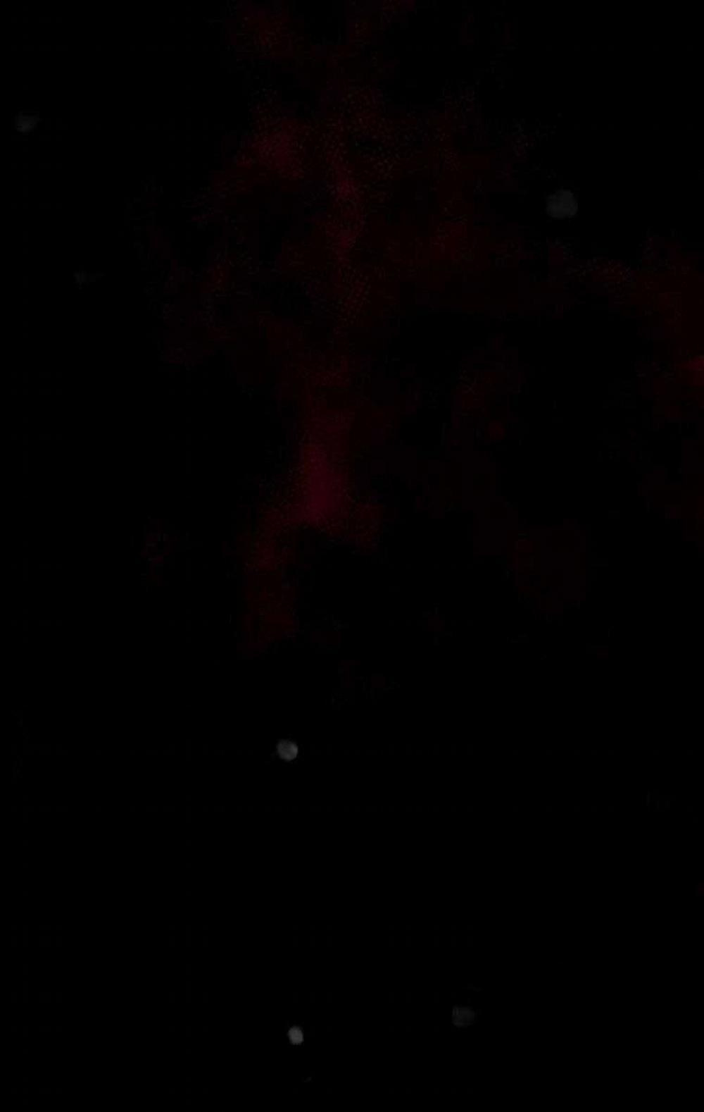 Tôi Đã Trở Thành Quái Vật Không Gian 16 trang 135