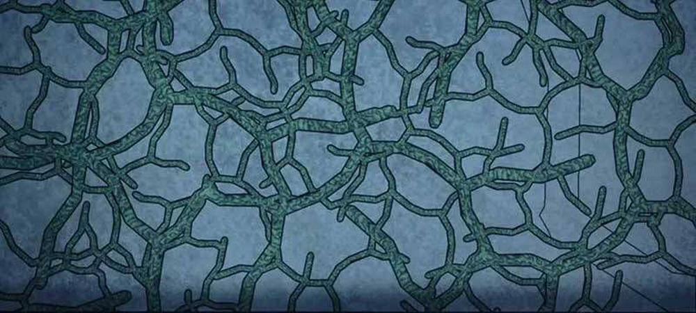 Tôi Đã Trở Thành Quái Vật Không Gian 21 trang 20