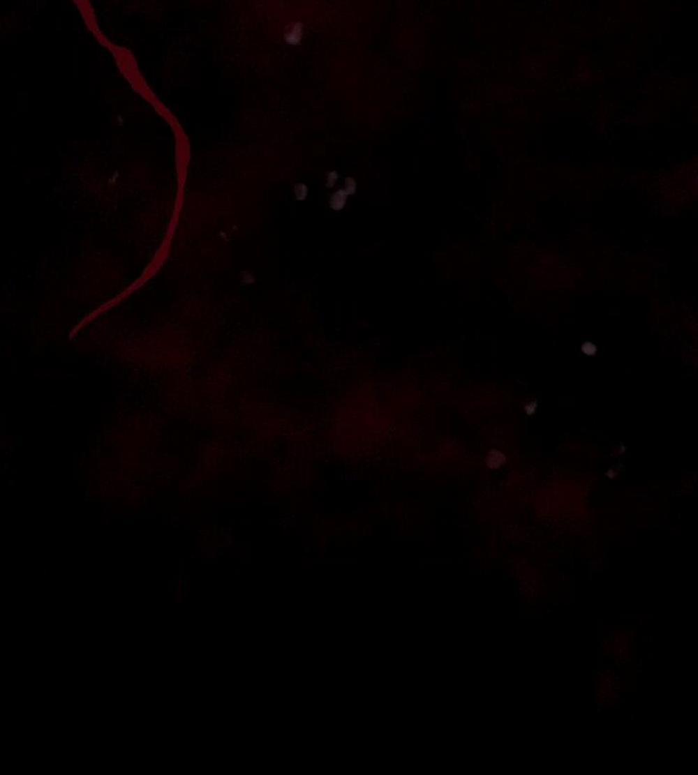 Tôi Đã Trở Thành Quái Vật Không Gian 32 trang 103