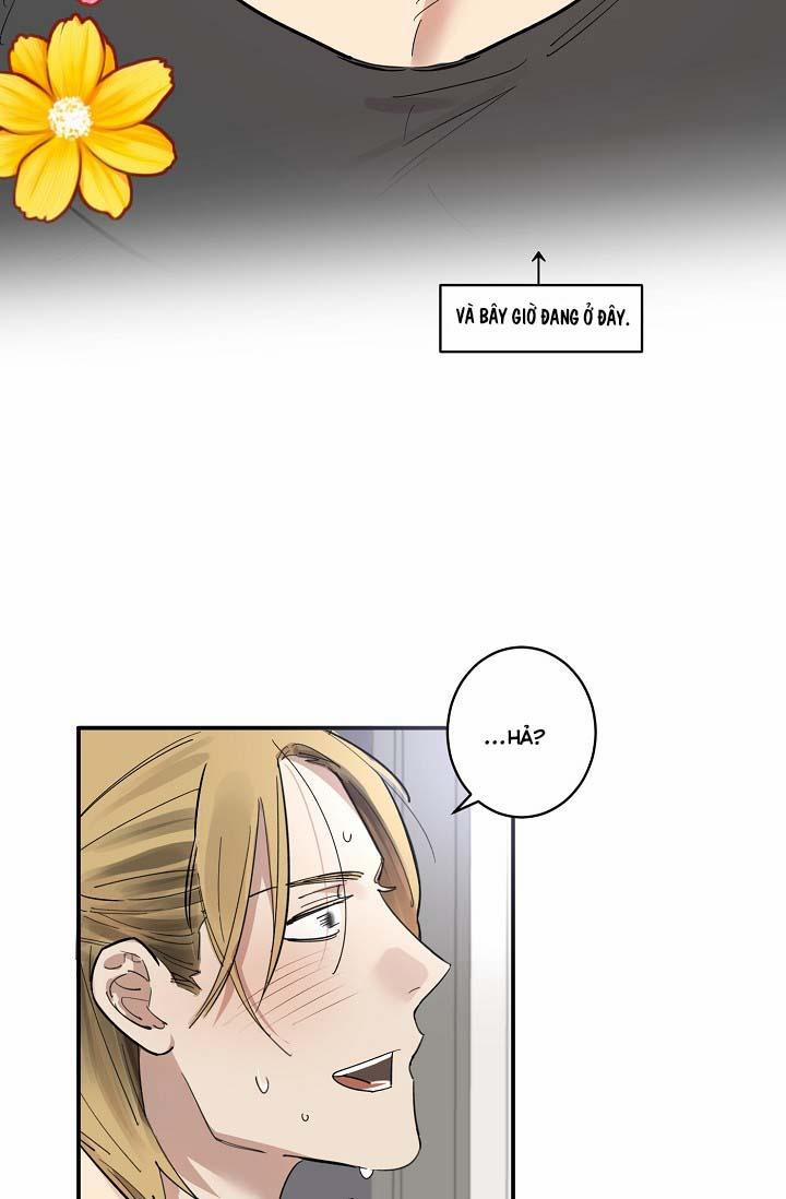 TÔI ĐẾN ĐÂY, ĐẾN NGAY ĐÂY! 3 trang 31