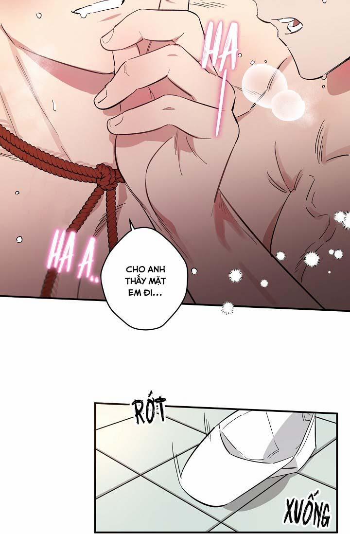 TÔI ĐẾN ĐÂY, ĐẾN NGAY ĐÂY! 4 trang 30