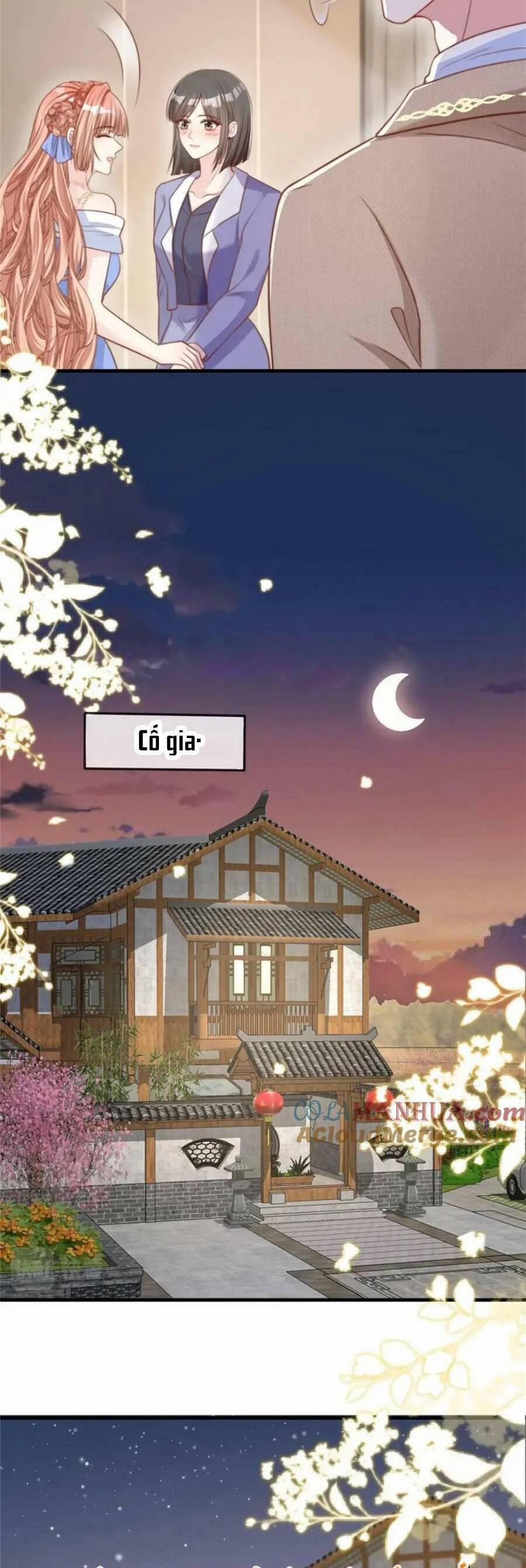 Tôi Được Năm Nam Chính Sủng 159 trang 10