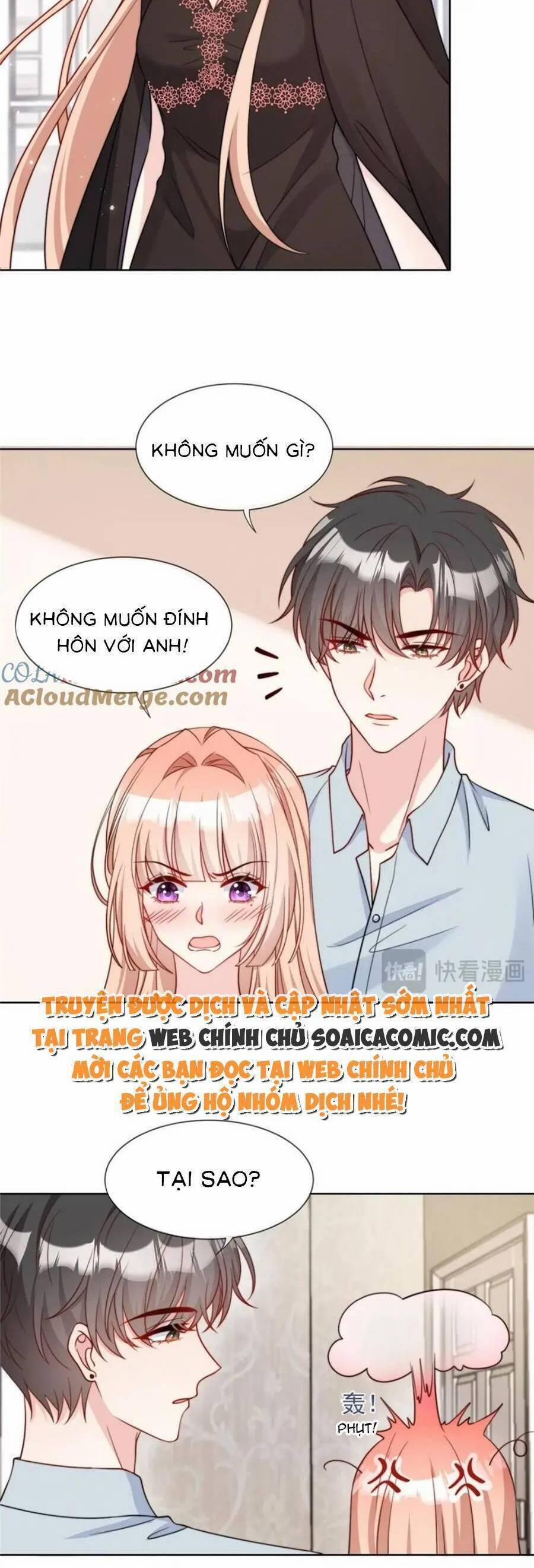 Tôi Được Năm Nam Chính Sủng 164 trang 14