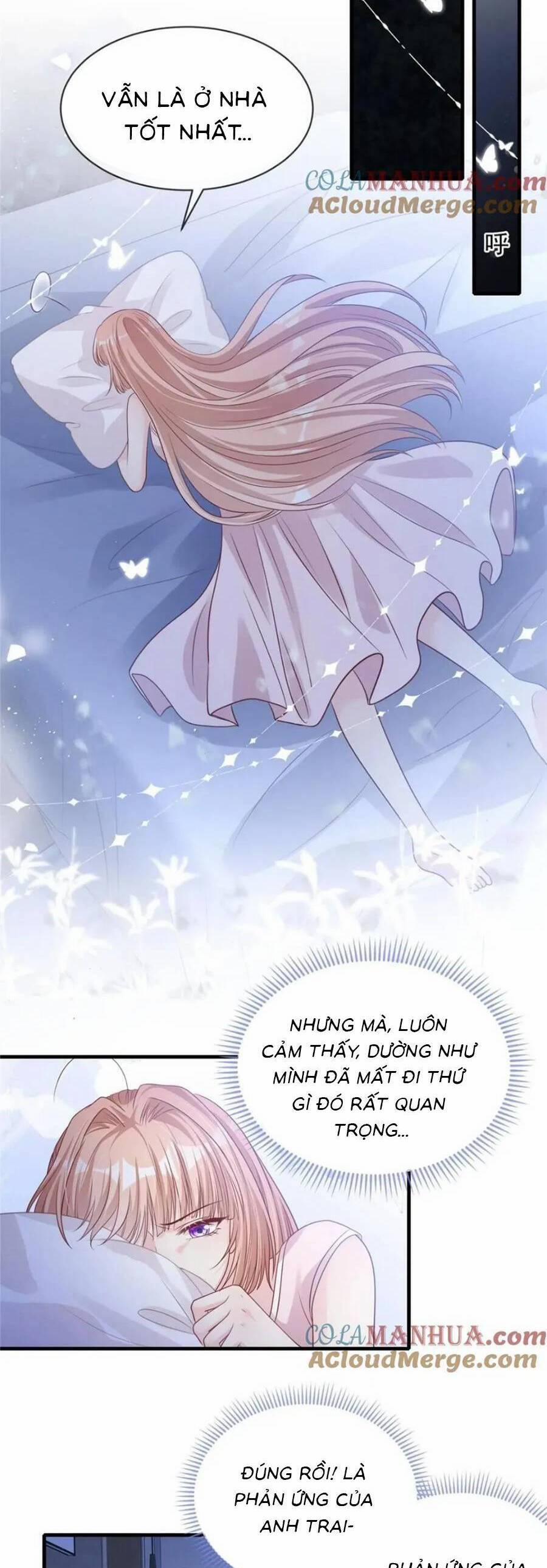 Tôi Được Năm Nam Chính Sủng 169 trang 11