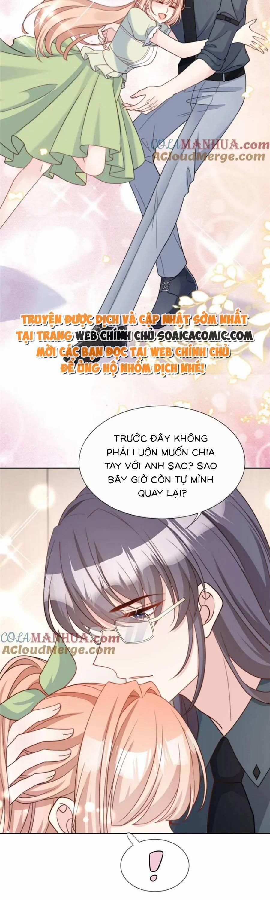 Tôi Được Năm Nam Chính Sủng 176 trang 12