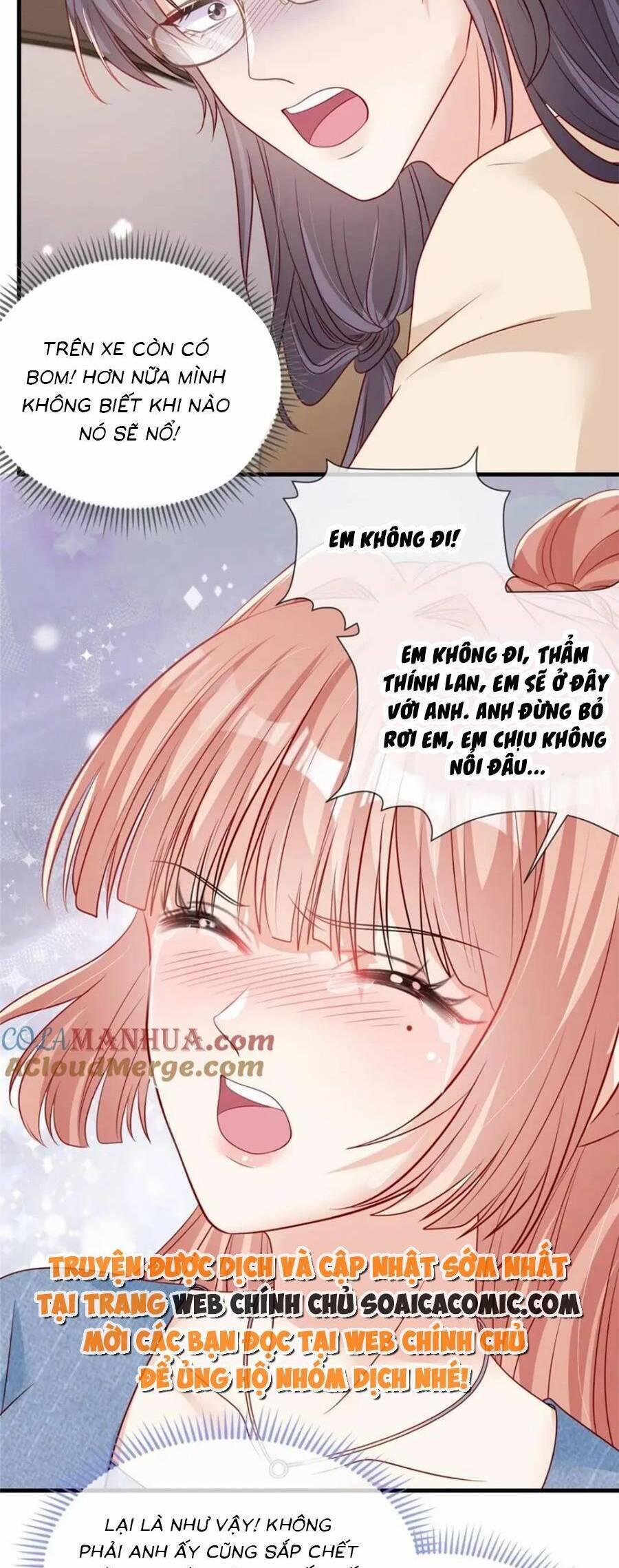 Tôi Được Năm Nam Chính Sủng 183 trang 12