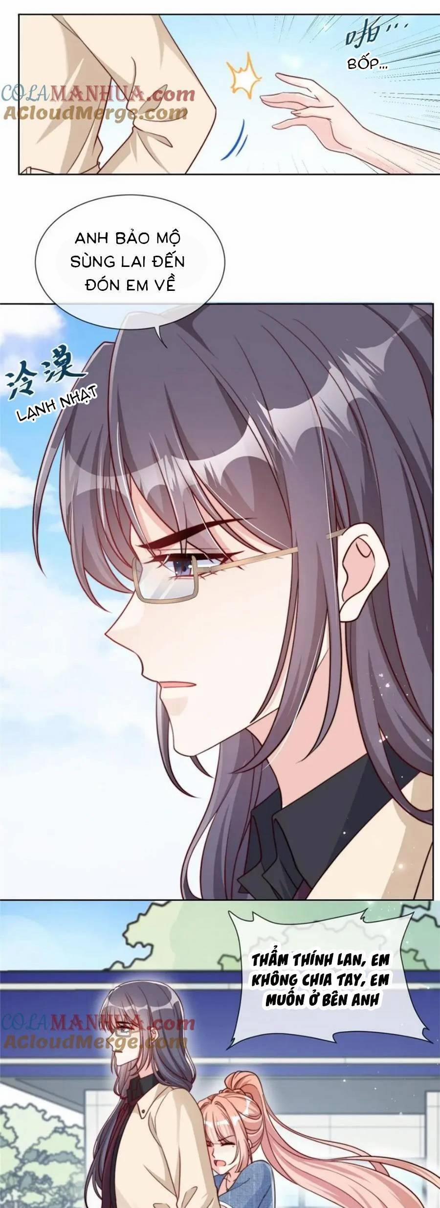 Tôi Được Năm Nam Chính Sủng 184 trang 5