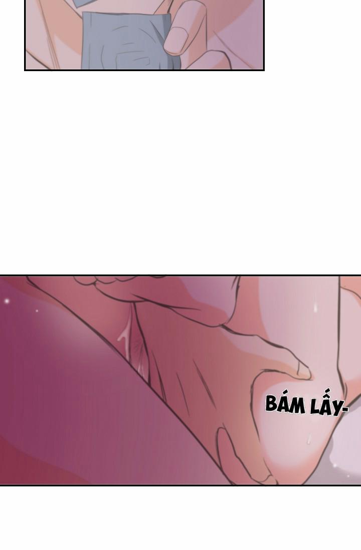 Tôi Được Tổng Giám Đốc Tỏ Tình 13 trang 43