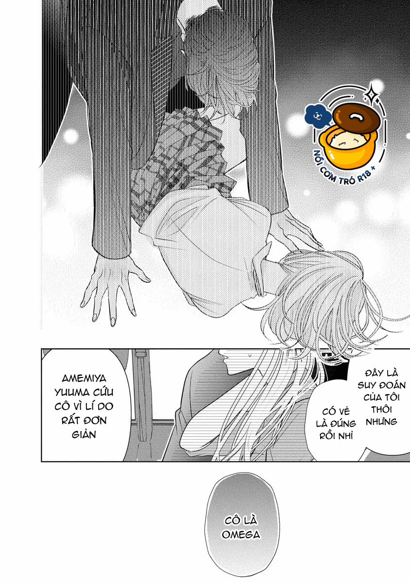 Tôi Được Yakuza Alpha Nhặt Về 5 trang 15