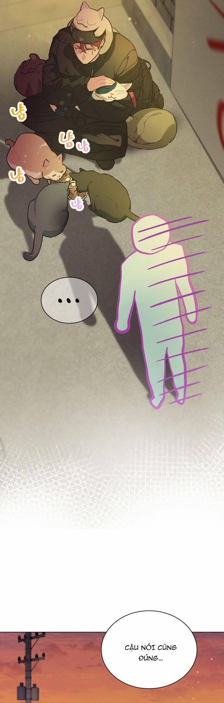 Tôi Giải Cứu Nhóm Idol Vô Danh Bằng Một Cú Chạm 13 trang 8