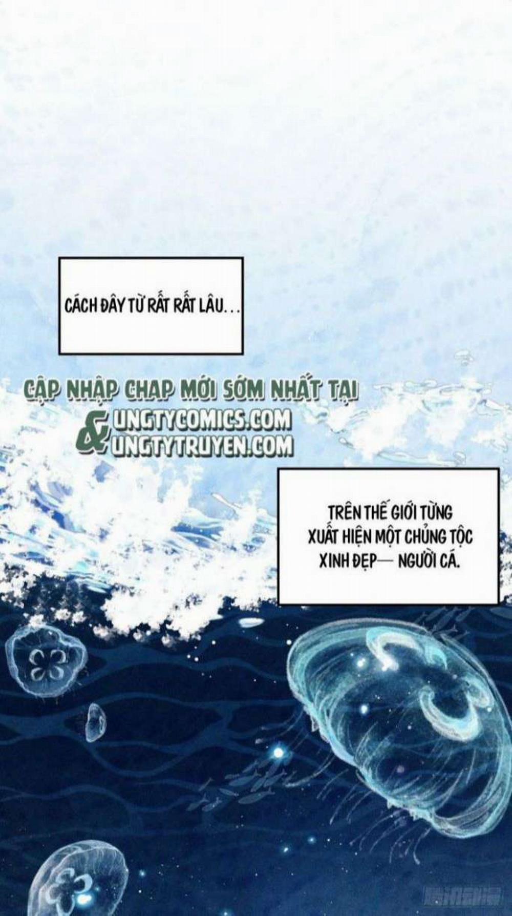 Tôi Hoài Nghi Ảnh Đế Đang Theo Đuổi Tôi 1 trang 3