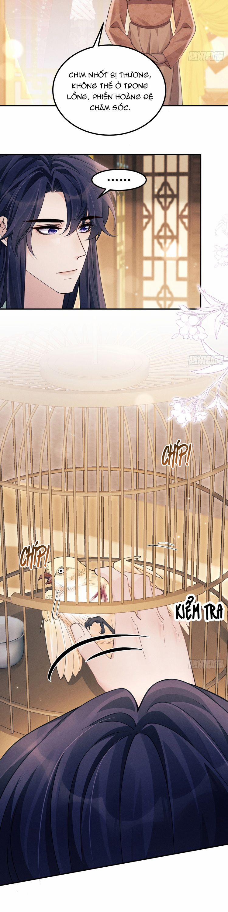 Tôi Hoài Nghi Ảnh Đế Đang Theo Đuổi Tôi 165 trang 11