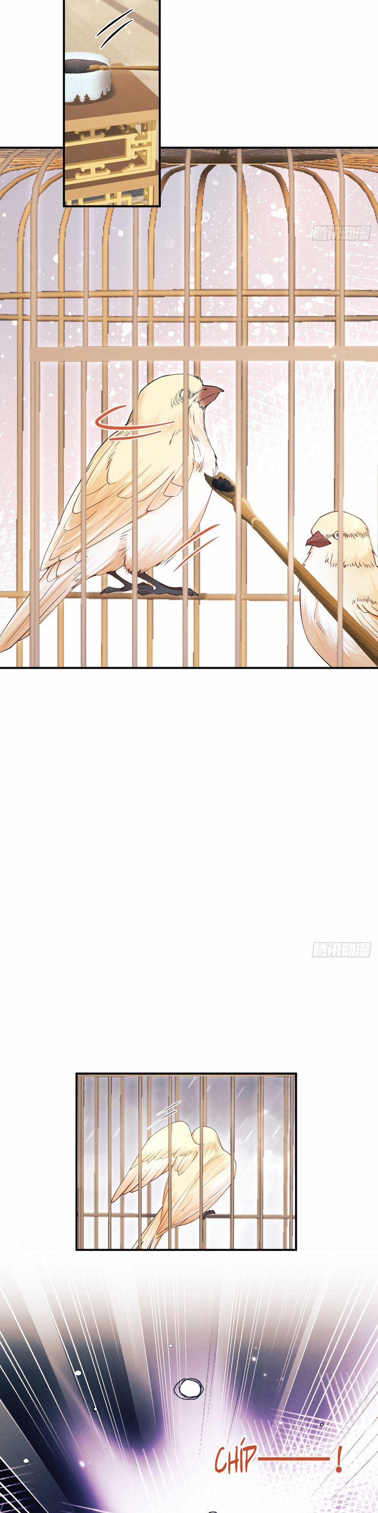 Tôi Hoài Nghi Ảnh Đế Đang Theo Đuổi Tôi 165 trang 5