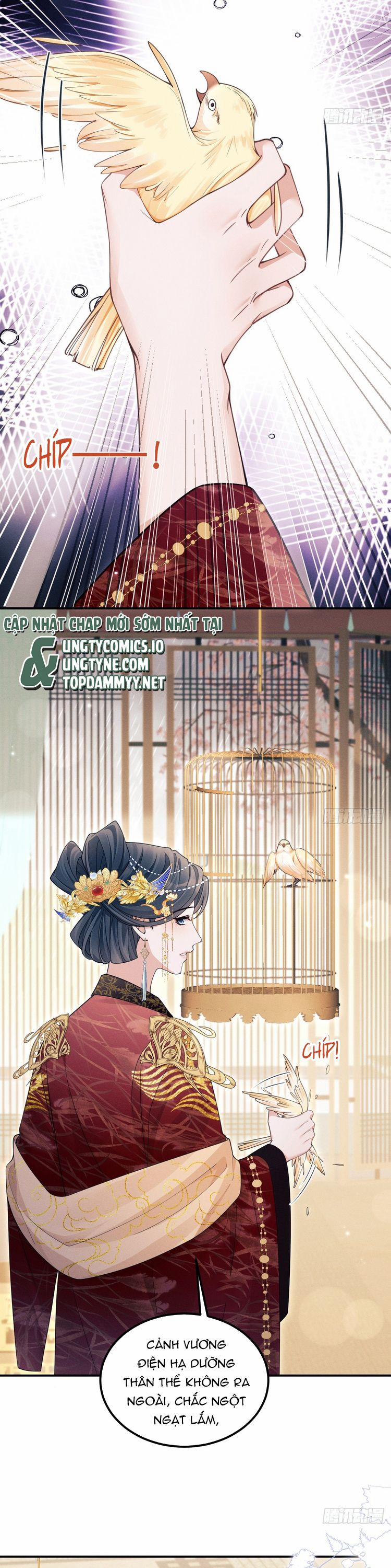 Tôi Hoài Nghi Ảnh Đế Đang Theo Đuổi Tôi 165 trang 6