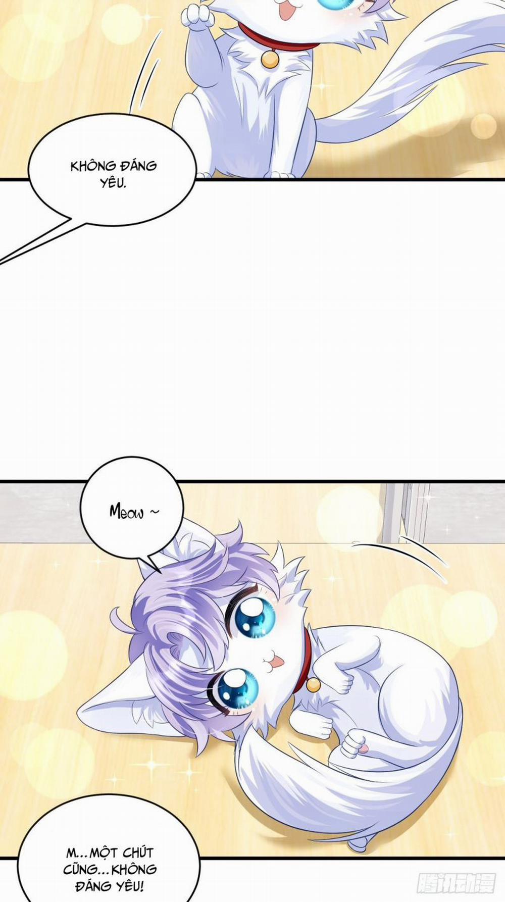 Tôi Hoài Nghi Ảnh Đế Đang Theo Đuổi Tôi Phiên Ngoại 2 trang 11