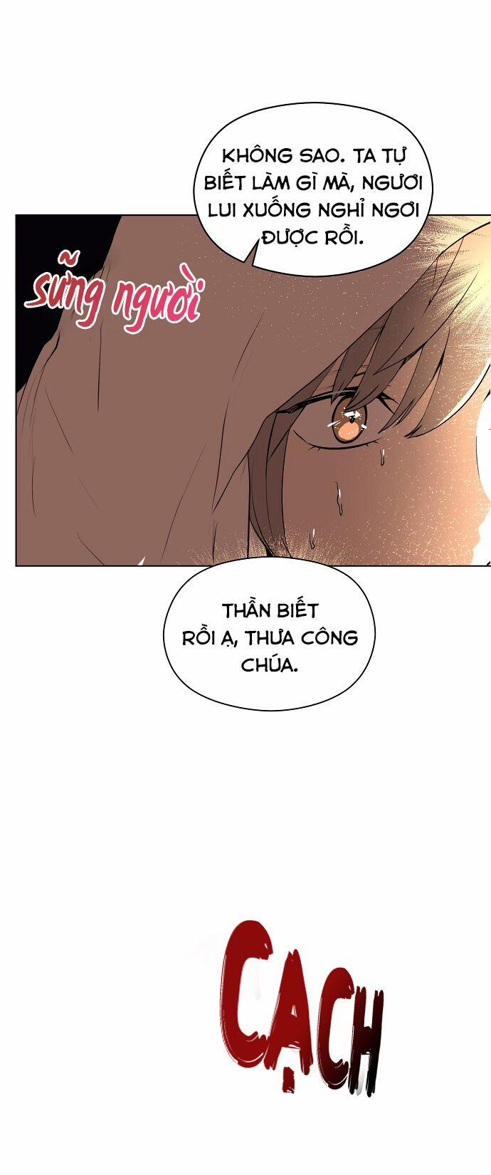 Tôi Không Cố Ý Quyến Rũ Nam Chính Đâu! 22 trang 4