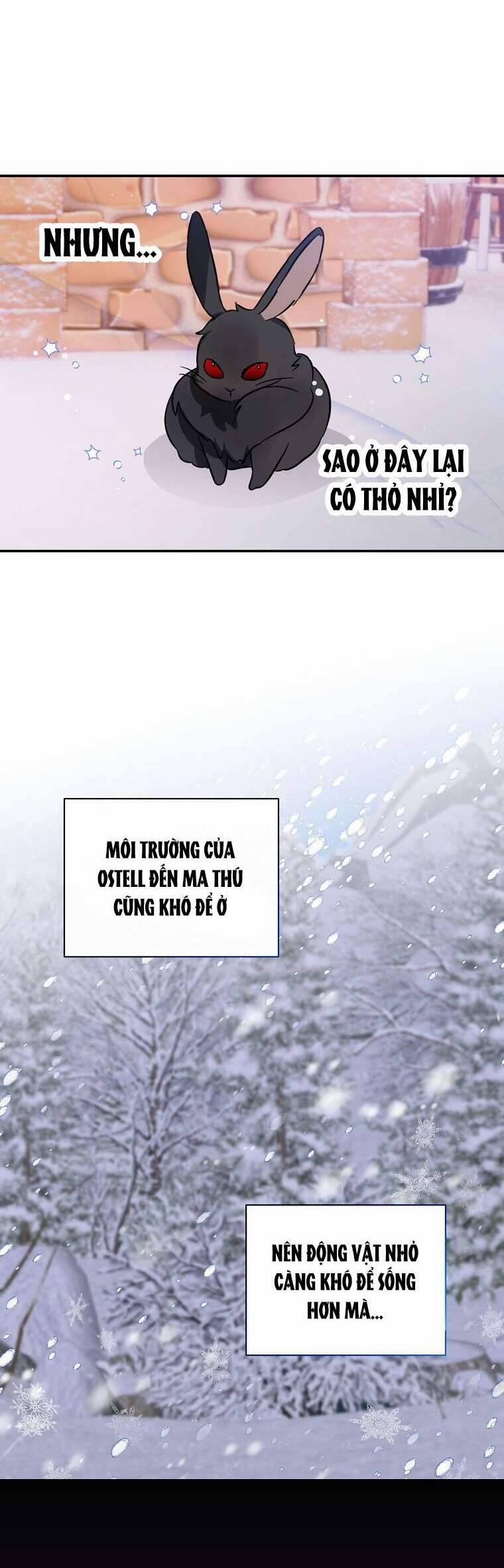 Tôi Không Muốn Có Con Với Nam Chính 11 trang 2