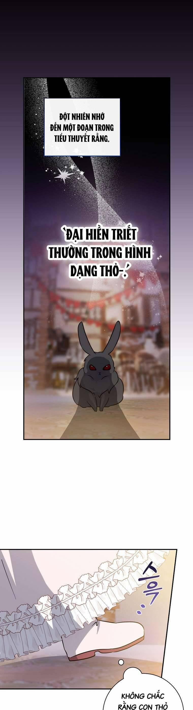 Tôi Không Muốn Có Con Với Nam Chính 11 trang 3