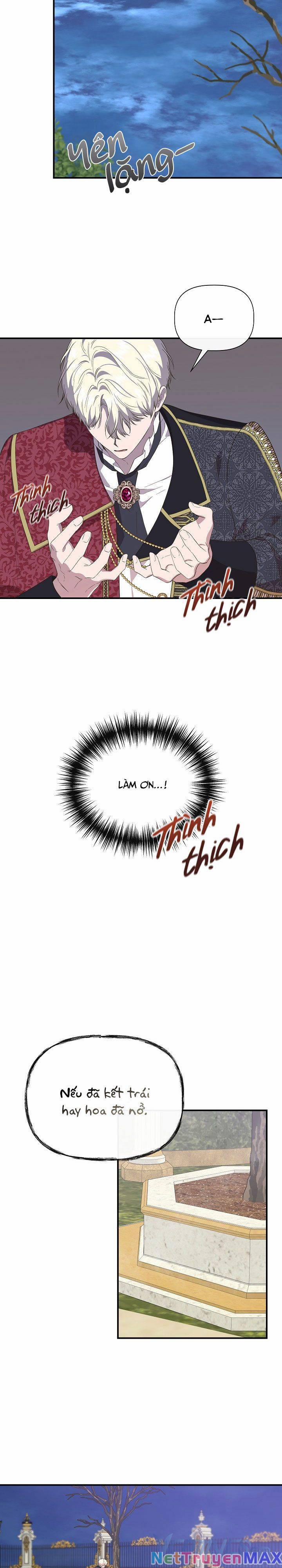 Tôi Không Phải Là Cinderella 84 trang 11