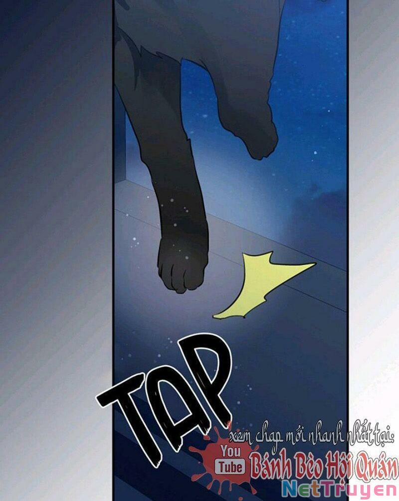 Tôi Là Bạn Gái Cũ Của Một Quân Nhân 52 trang 5