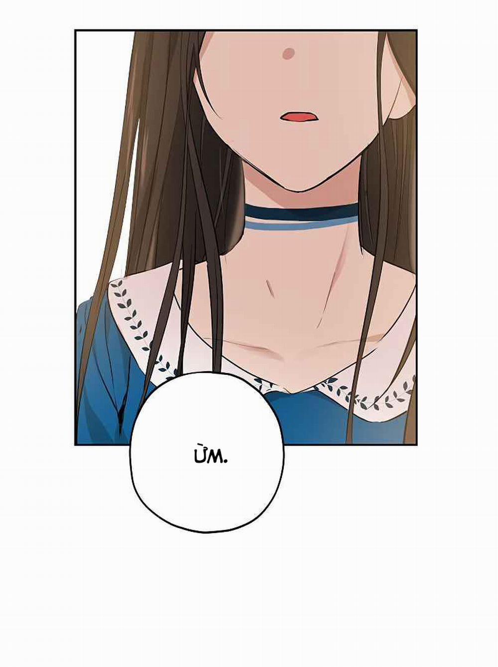 Tôi Là Minh Chứng Của Sự Thật 10 trang 17