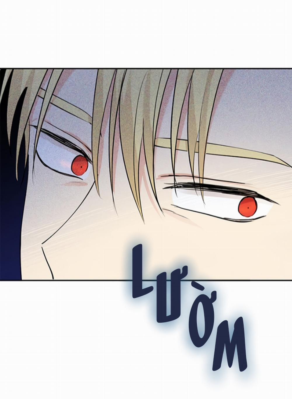 Tôi Là Minh Chứng Của Sự Thật 22 trang 27