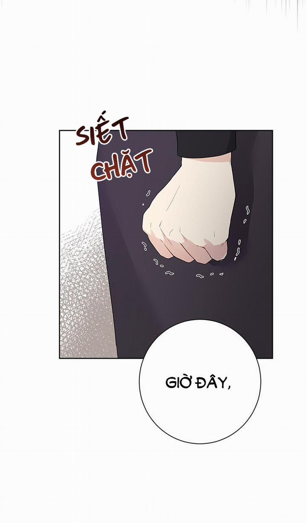 Tôi Là Minh Chứng Của Sự Thật 41 trang 42